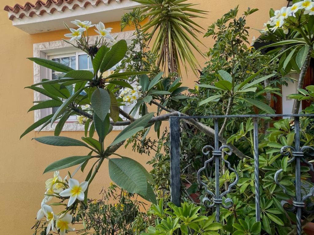 Apartamentos Ana Tazacorte Buitenkant foto